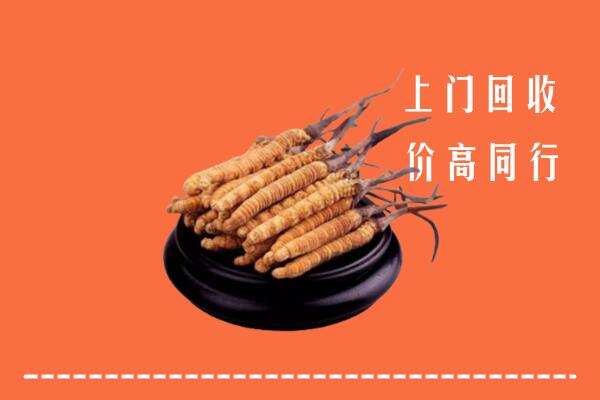 忻州回收散虫草