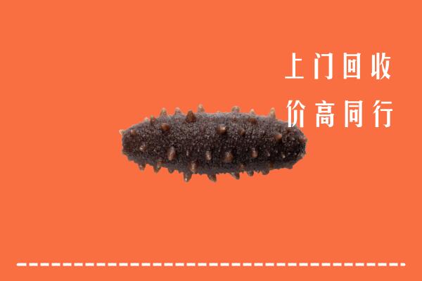 忻州高价回收海参